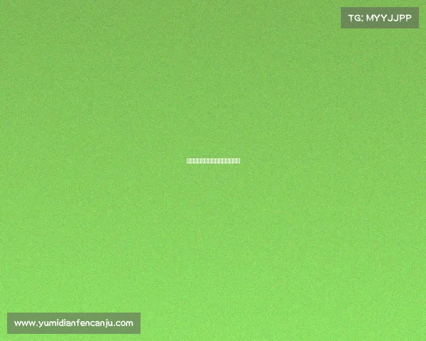 格斗赛事分级—格斗分为几个级别